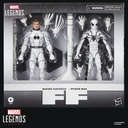 Marvel Legends Series Future Foundation Mister Fantastic y Spider-Man