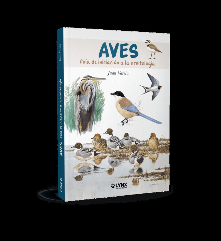 Aves