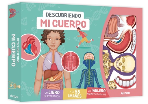 DESCUBRIENDO MI CUERPO. TABLERO MAGNETICO