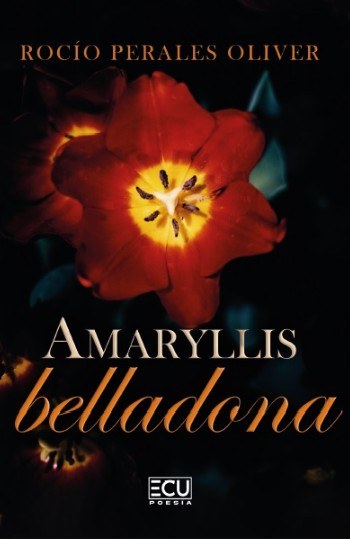 Amaryllis belladona