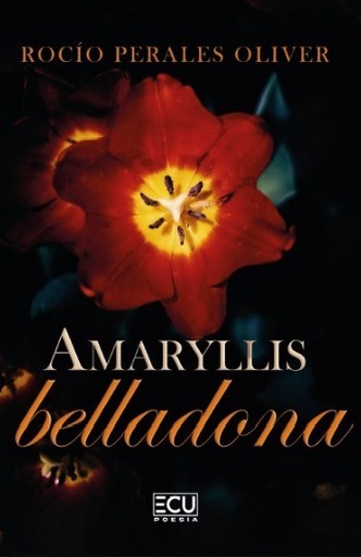 Amaryllis belladona