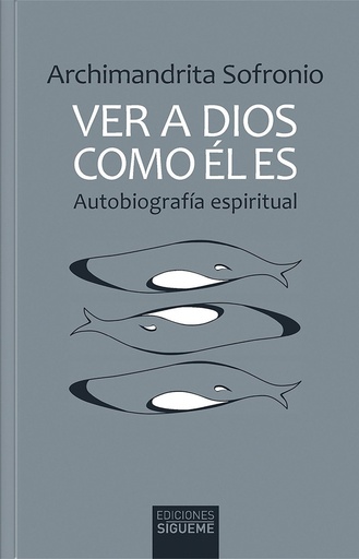 Ver a Dios como El es