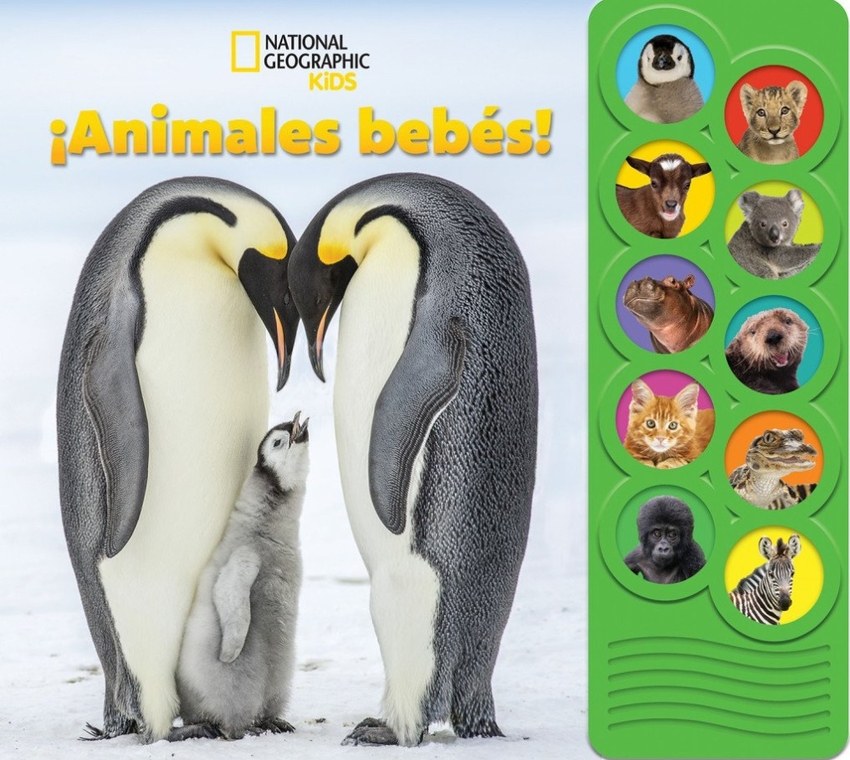 National geographic kids: ¡Animales bebés!