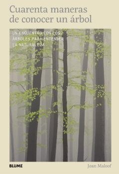CUARENTA MANERAS DE CONOCER UN ÁRBOL