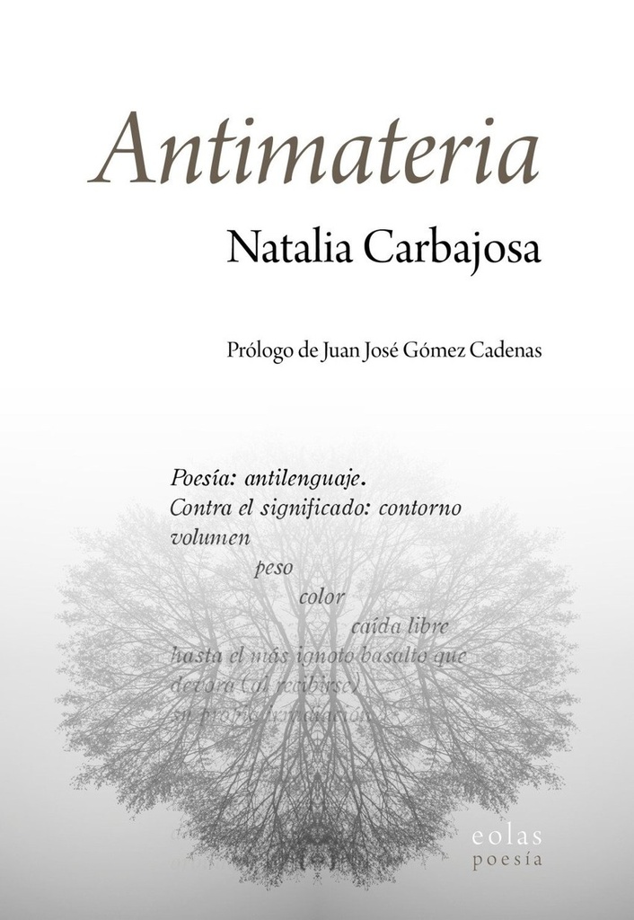 Antimateria