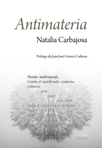 Antimateria