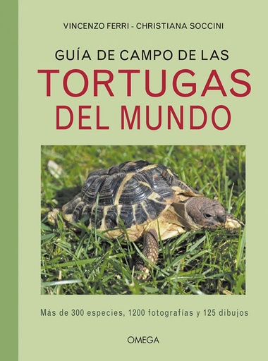 GUÍA DE CMAPO DE LAS TORTUGAS DEL MUNDO