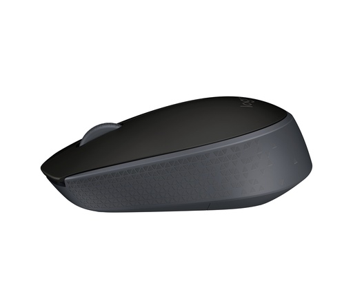 [910-004424] M171