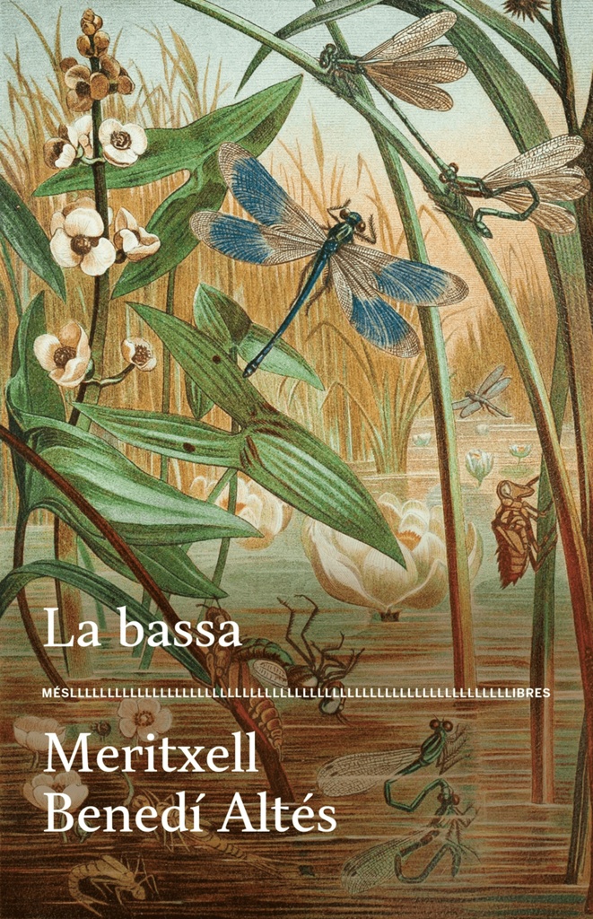 La bassa