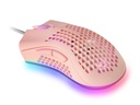 MMEXP, Rosa, One size