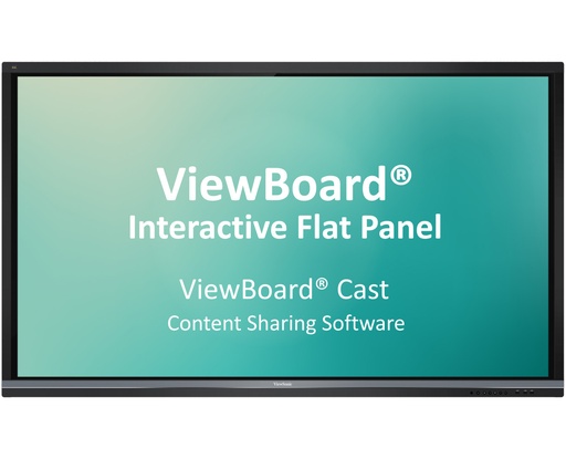 [SW-101] ViewBoard Cast(SW-101)