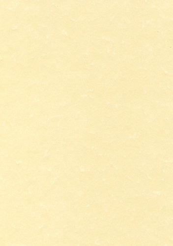 PAPEL PERGAMINO A4 APLI 95g 100h CHAMPAN