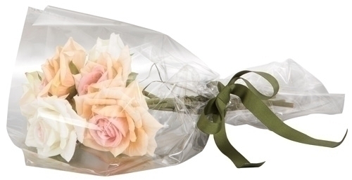 [RPT2] PAPEL REGALO COLIBRI 60x15 TRANSPARENTE