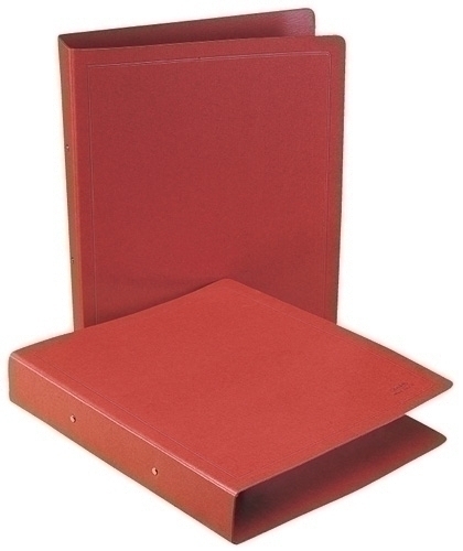 CARPETA SARO CART.Fº 2 AN.25