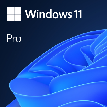 [FQC-10528] Windows 11 Pro 1 licencia(s)