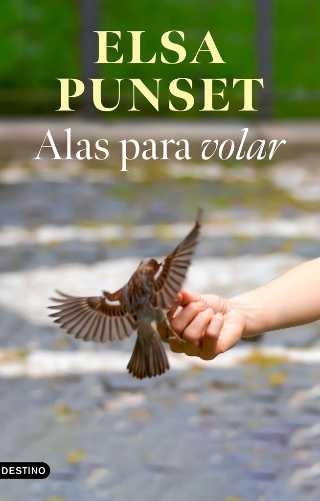 Alas para volar