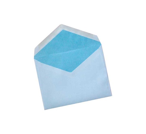 [C4/B.95] C. 250 SOBRES SAM DIN C4 229X324 100G BLA C4/B.95