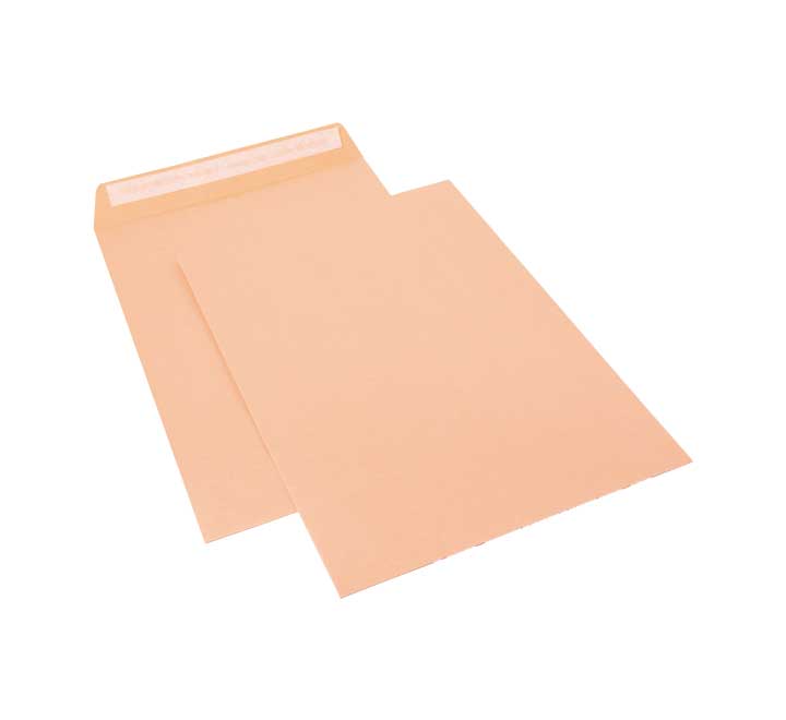 C. 250 BOLSAS SAM 90G 260X360 CELULOSA