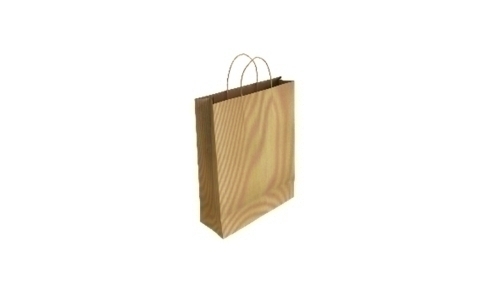 [02005025] BOLSA PAPEL KRAFT VERJU. 24x32 RECI P/50