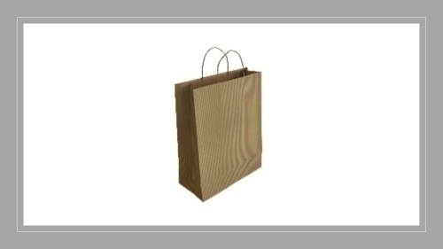 [02005030] BOLSA PAPEL KRAFT VERJU. 18x24 RECI P/50