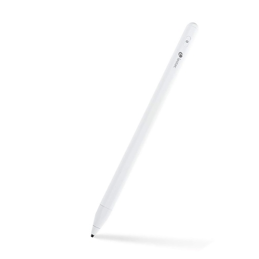 [LESTP01W] Stylus ePen