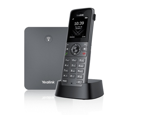 [1302022] W73P teléfono IP Gris TFT