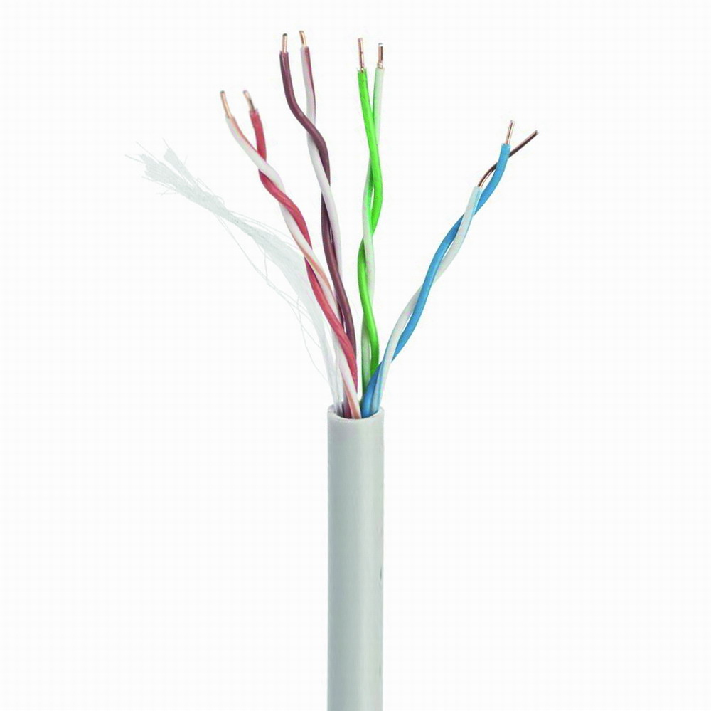 CAT5e UTP 100m cable de red Gris U/UTP (UTP)