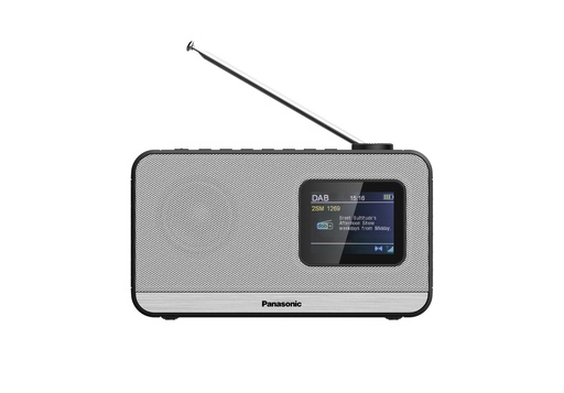 [RF-D15EG-K] RF-D15 Portátil Digital Negro, Plata