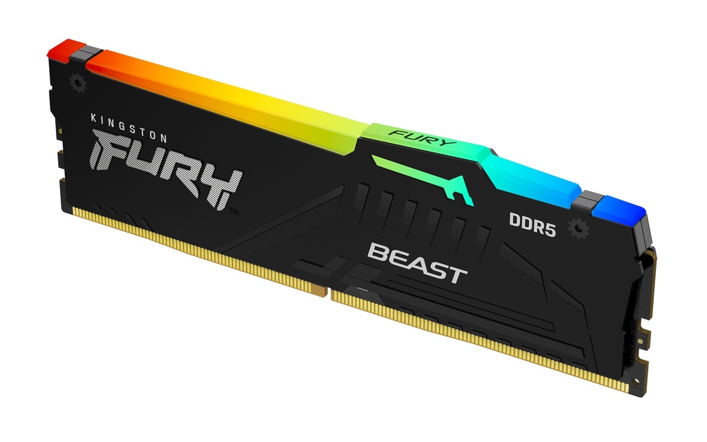 FURY Beast 32GB 6000MT/s DDR5 CL30 DIMM RGB EXPO