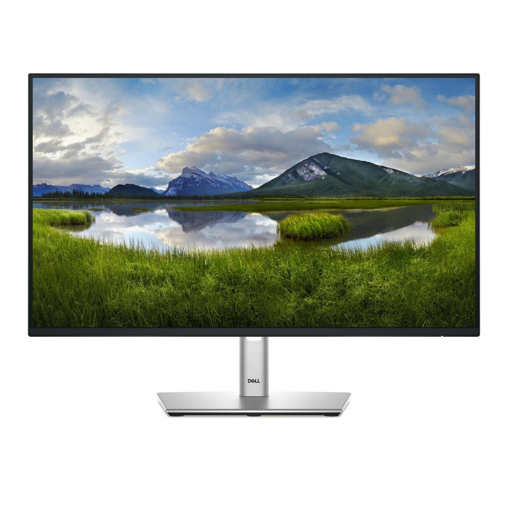Pro Plus P2425HE pantalla para PC 60,5 cm (23.8") 1920 x 1080 Pixeles Full HD LCD Negro