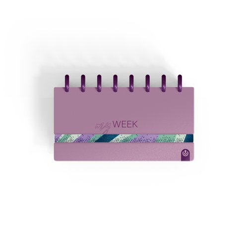 AG.CARCHIVO INGENIOX  MY WEEK BURDEOS