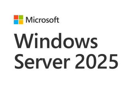 Windows Server CAL 2025 Microsoft Volume Licensing (MVL) 1 licencia(s)