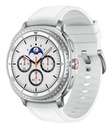 Galaxy Watch8 Classic (LTE, 46 mm)