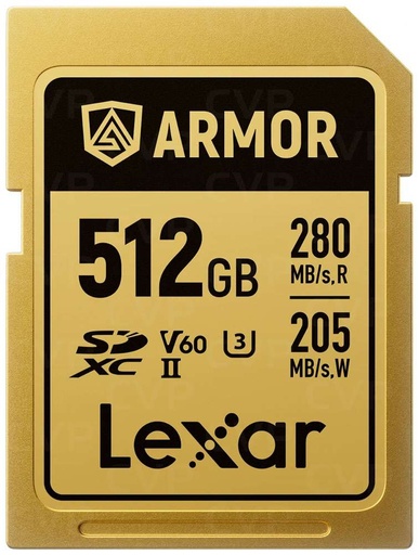 [LSDAMGL512G-RNNNG] LSDAMGL512G 512 GB SDXC UHS-II