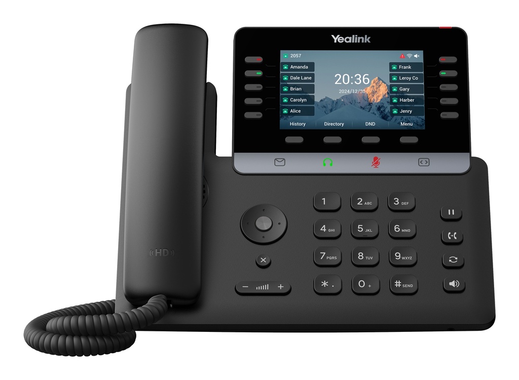 T74W teléfono IP Negro LCD Wifi