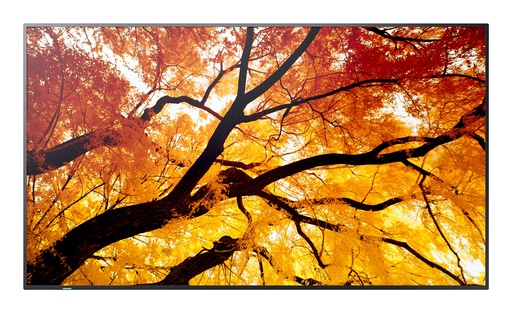 [PNM752] MultiSync PN-M752 189,2 cm (74.5") LED 550 cd / m² 4K Ultra HD Negro 24/7