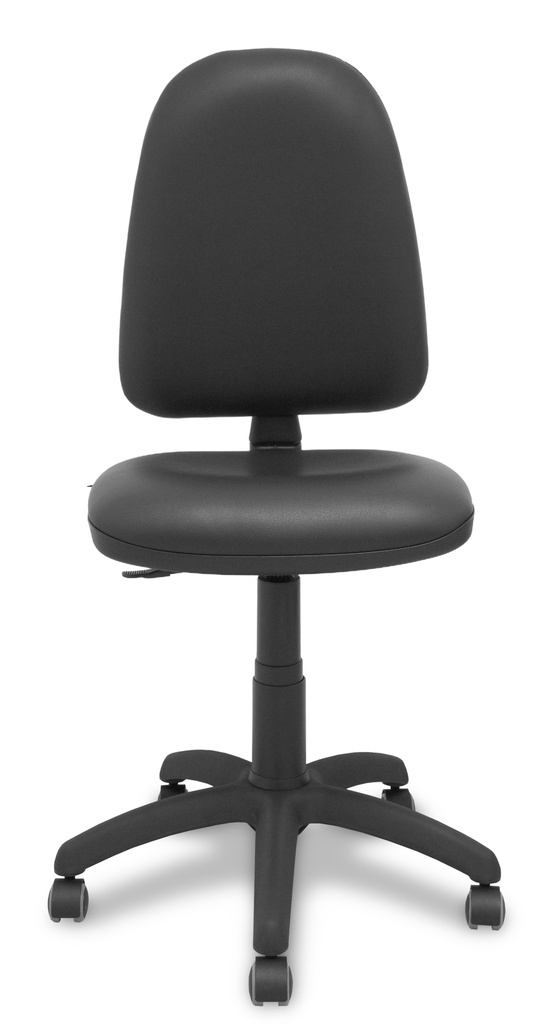 Ayna Asiento acolchado Respaldo acolchado