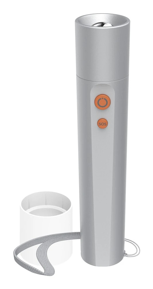 [00228602] FL250 Plata Linterna de mano LED