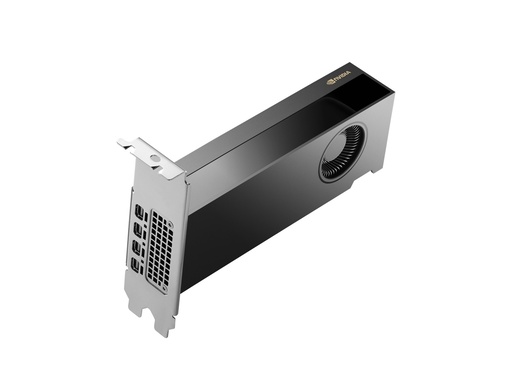 [8D6B8AA] NVIDIA RTX PH x2xxx 4mDP Graphics